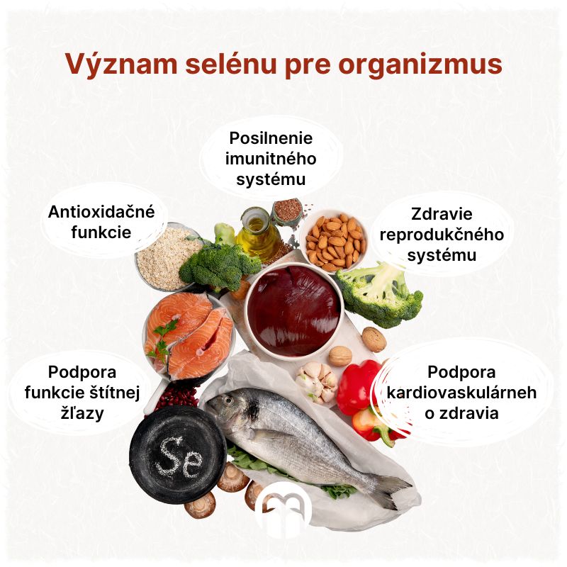 (Slovenčina) Význam selenu pro organismus